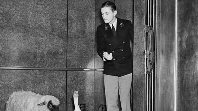 710万个岗位消失真相：你的职业在AI时代能活下来吗？(图4)