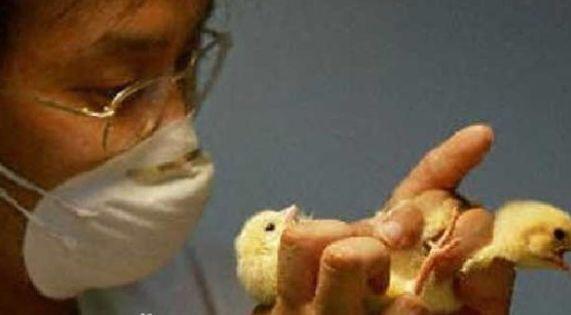 tt体验官？酒店试睡员？盘点奇葩轻松高薪又无人知晓的工作(图4)