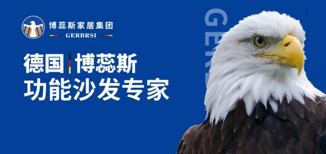 博蕊斯——功能沙发专家 大国隐形冠军(图1)