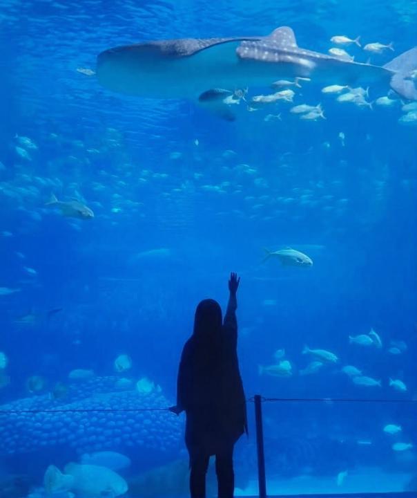 《96000热线殡葬服务接线年的坚守不是终点她说这件有意义的事还要再做十年(图2)