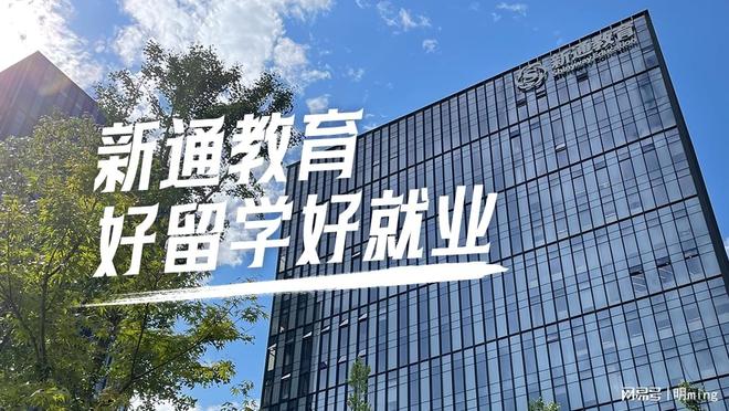 多国联申+职业闭环：2025留学机构如何用全球资源铺就阶层跳板？(图1)