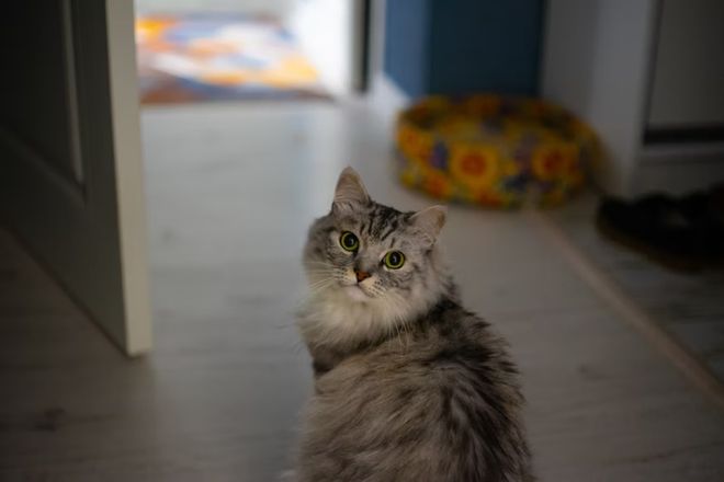 雷军点赞！月租1999的小米青年公寓上线秒空住“钻石房”的打工人们坐不住了！(图26)