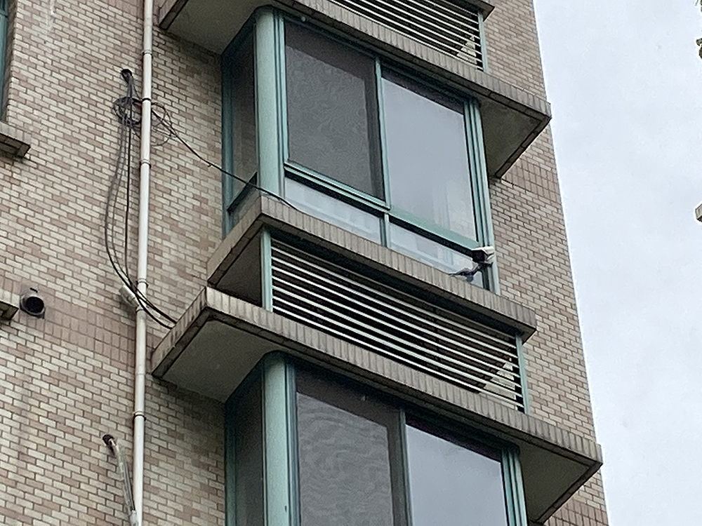 五年震楼暗战：顽固“制噪”的与竭力对抗的(图4)