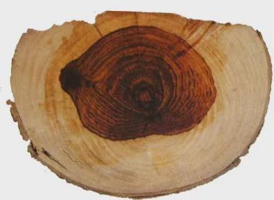 睡紫檀、坐酸枝、入药黄花梨、鸡翅木？每种红木都有不同的讲究(图6)