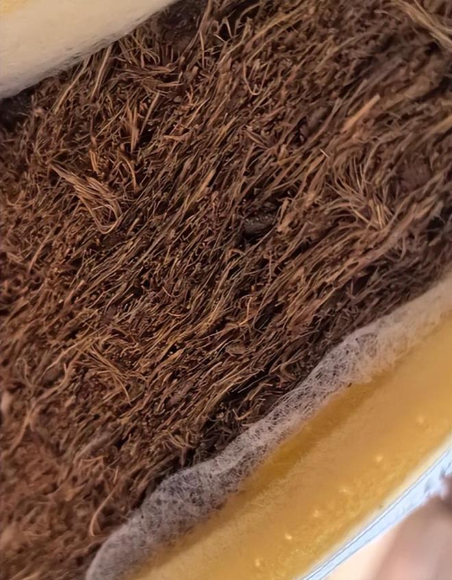 6种“中看不中用”的家具再便宜也别买！入住后你就知道多坑了(图6)