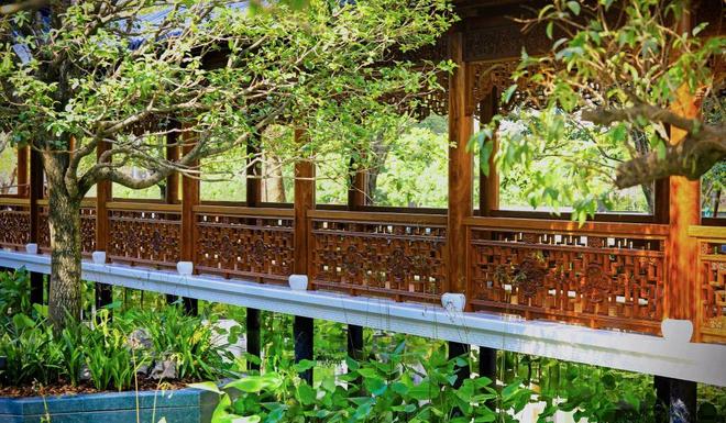 居家度假星河湾半山业主五一“享赢”了(图6)