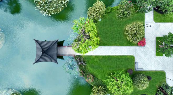 居家度假星河湾半山业主五一“享赢”了(图17)