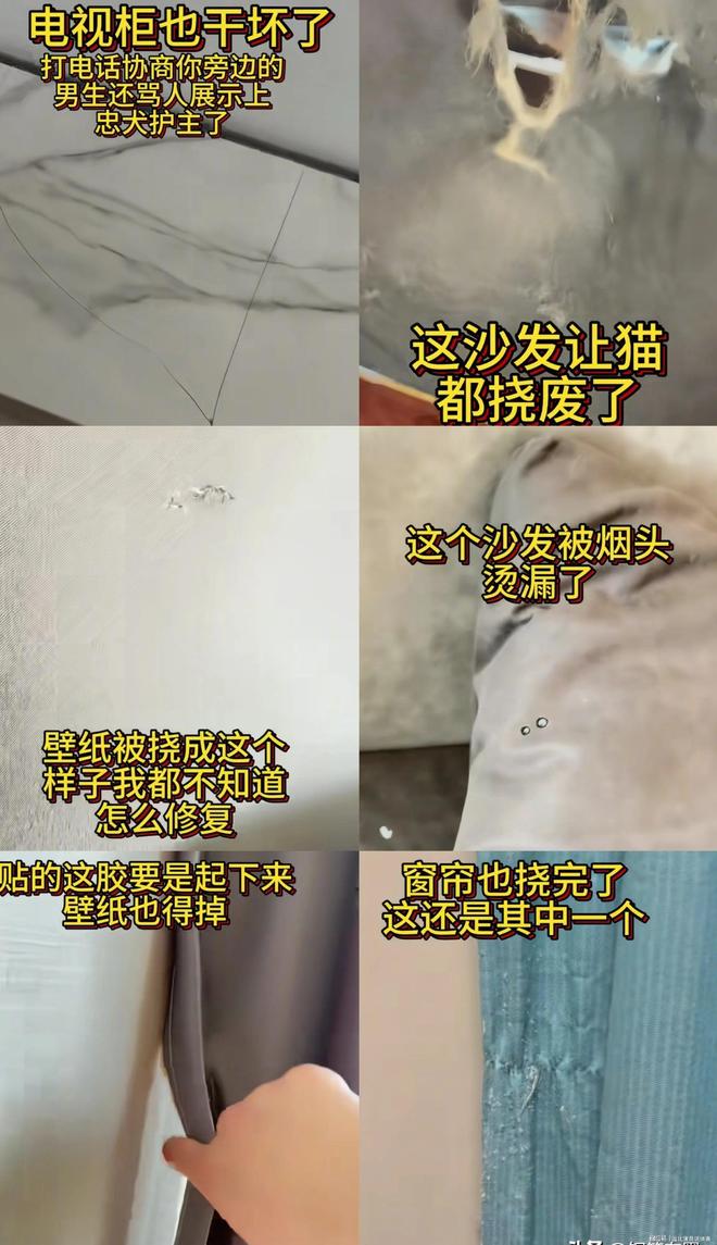 女网红退租房东不退押金原因曝光家具多处损坏邻居多次投诉(图2)