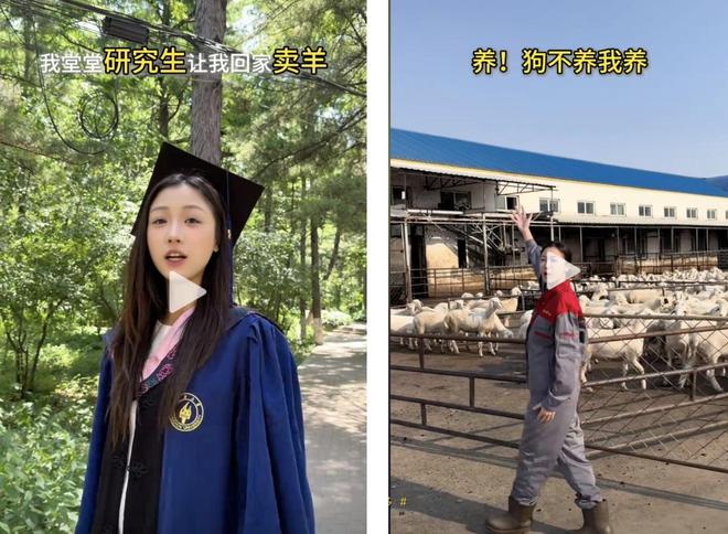 我985毕业月入3万但亲戚问起职业我脸红(图1)