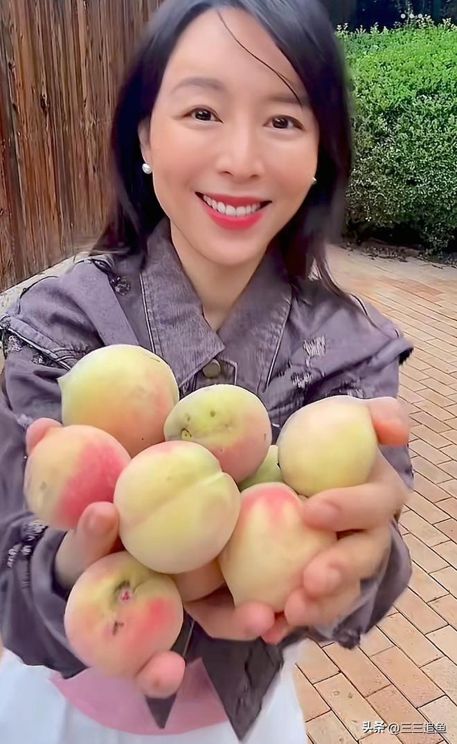 45岁张静初晒北京别墅独栋两层带院子家具都“包浆”了(图4)