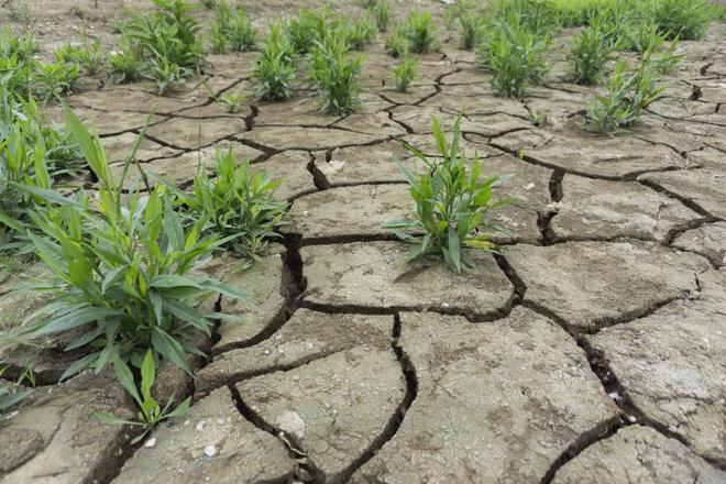 富豪坐私人飞机我骑车上下班那我节能减排做环保还有用吗？(图1)