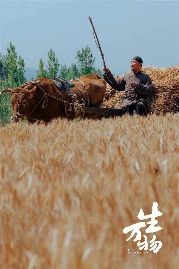 看《生万物》懂山东红木家具品牌巧夺天工红木(图1)