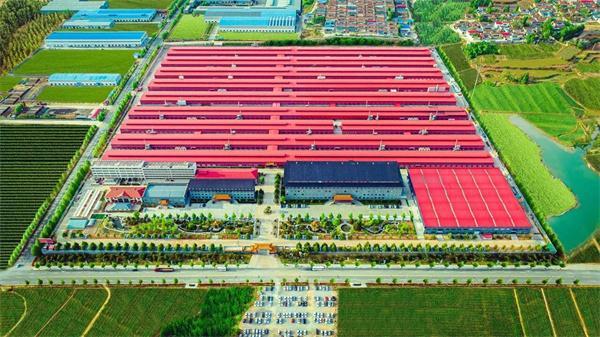 看《生万物》懂山东红木家具品牌巧夺天工红木(图13)