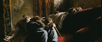 43岁女演员独居老房子家里全是破烂却是无数人理想中的家！(图3)