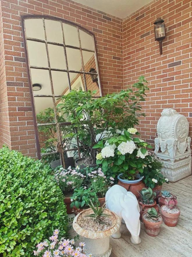 43岁女演员独居老房子家里全是破烂却是无数人理想中的家！(图23)