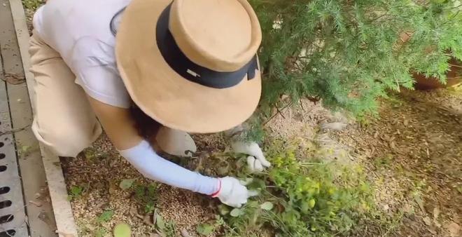 43岁女演员独居老房子家里全是破烂却是无数人理想中的家！(图26)