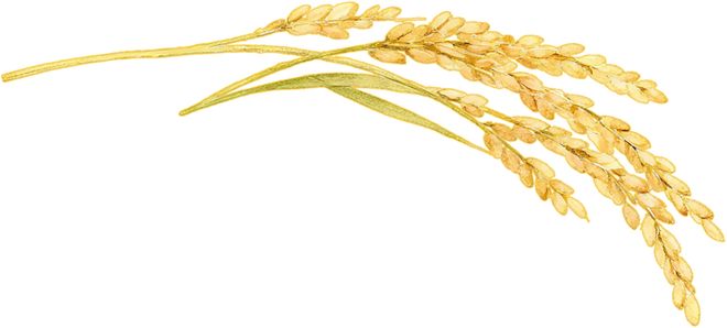 以赛促学、以赛促标2025年首届长三角一体化示范区养老护理员职业技能大赛在青浦举办(图1)