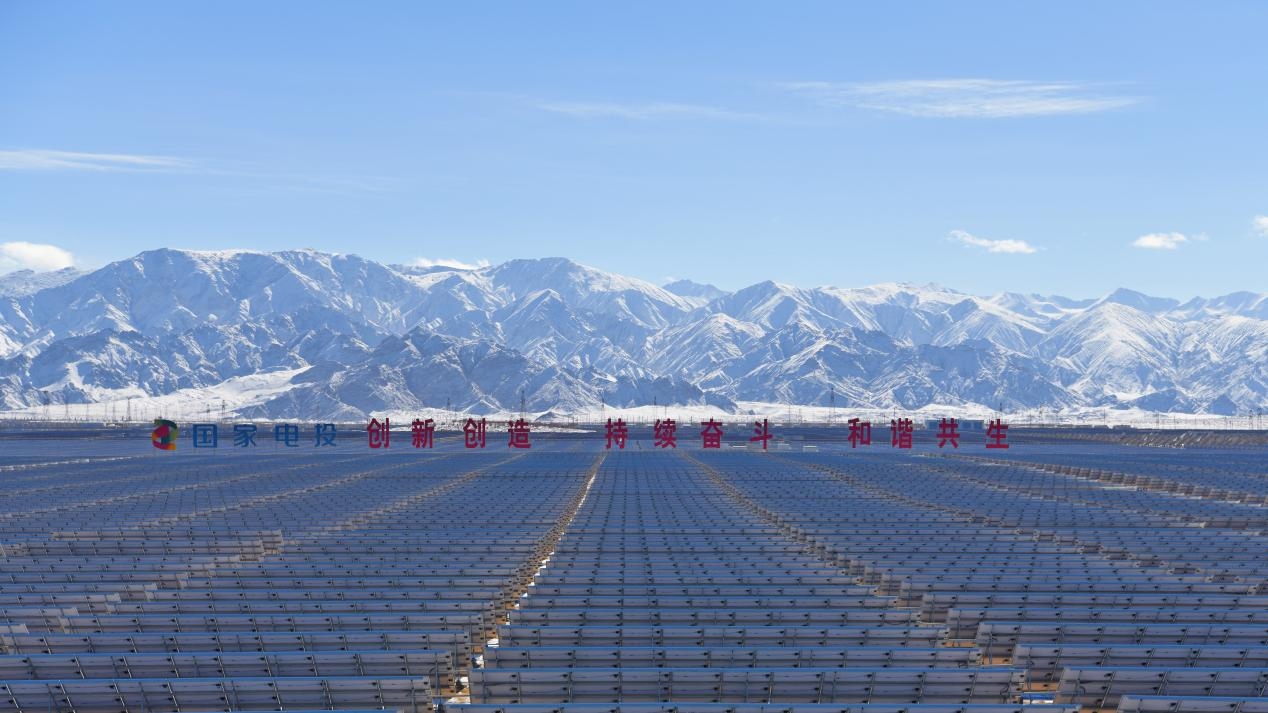 以热爱致青春－国务院国有资产监督管理委员会(图1)