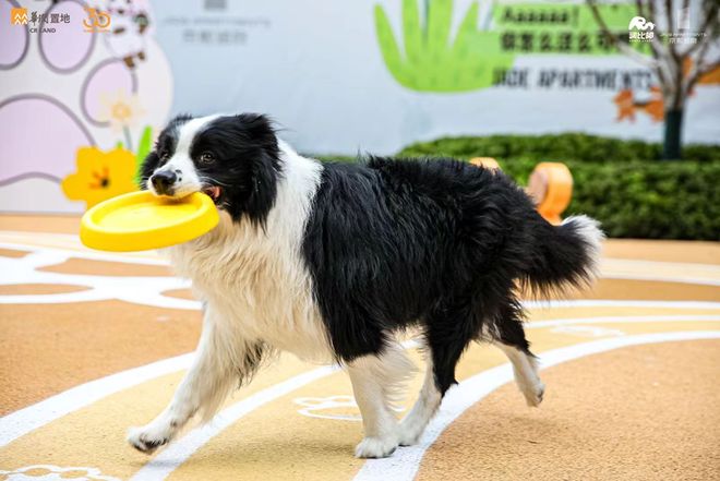 北京三居新房288万！地铁800米+中关村三小+家具全送！(图4)