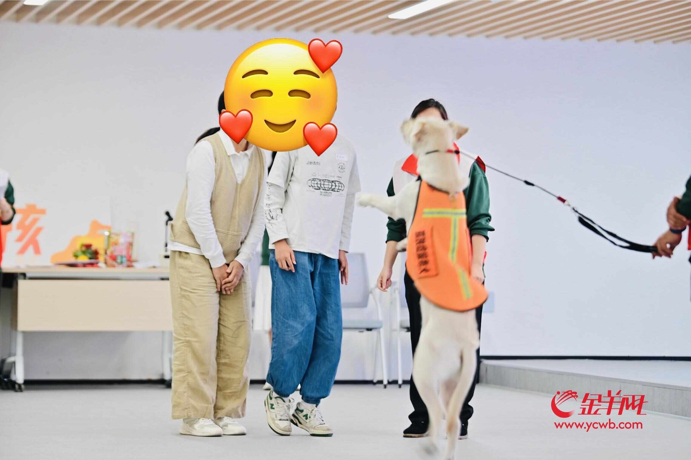 孤独症服务犬亮相广州将进入机构和家庭守护“星星的孩子”(图1)