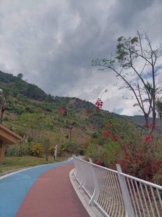 东方大峡谷的生态发展奇迹惊艳上海盛会(图8)