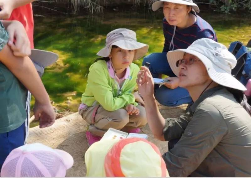 会员风采 王愉：在自然的怀抱里的聆听(图4)