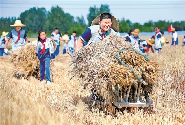 如何让孩子们更好直面未来——对我国职业启蒙教育现状的调查与思考(图4)